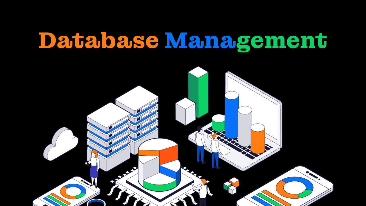 Database Management banner